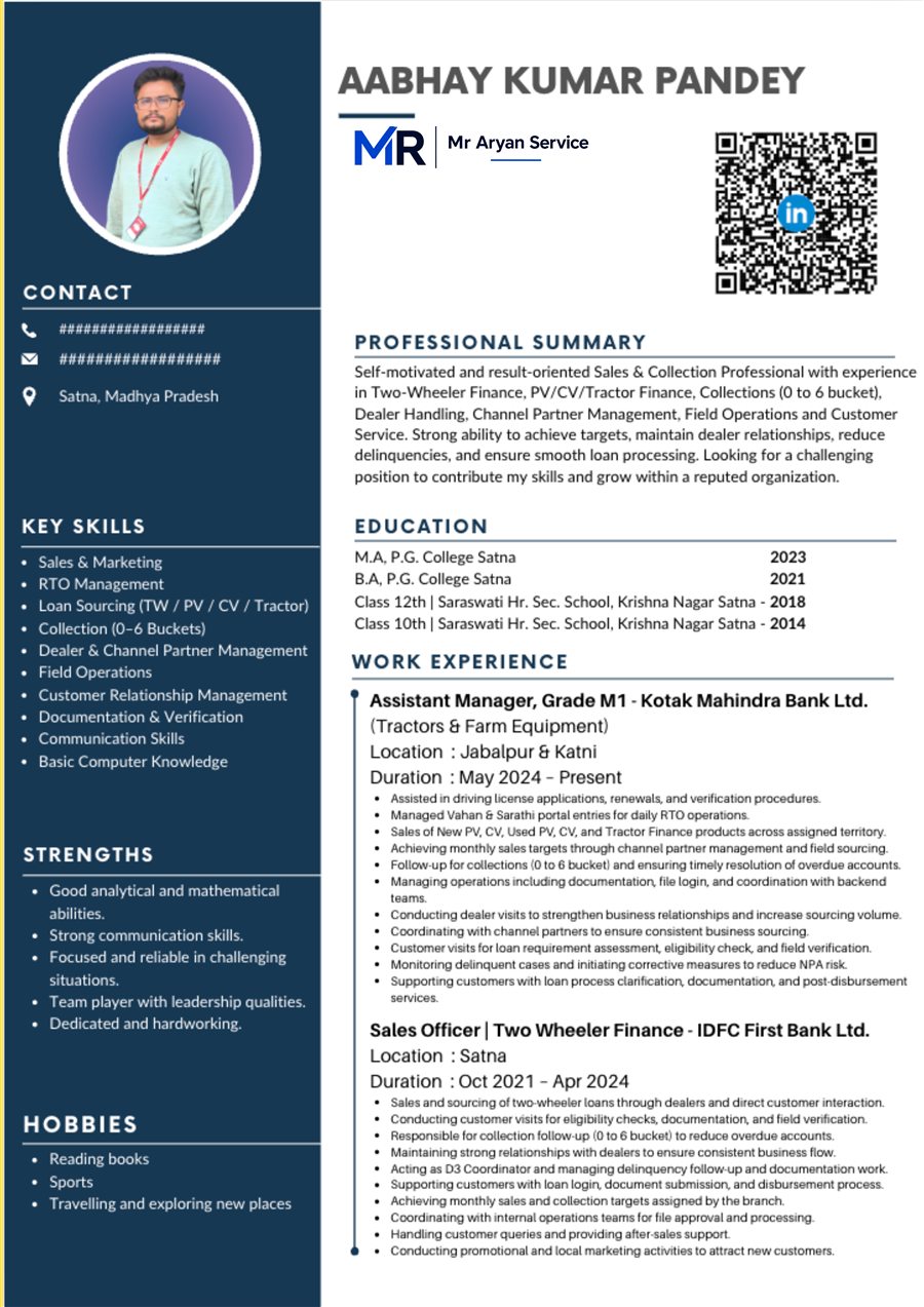 Professional resume sample 1