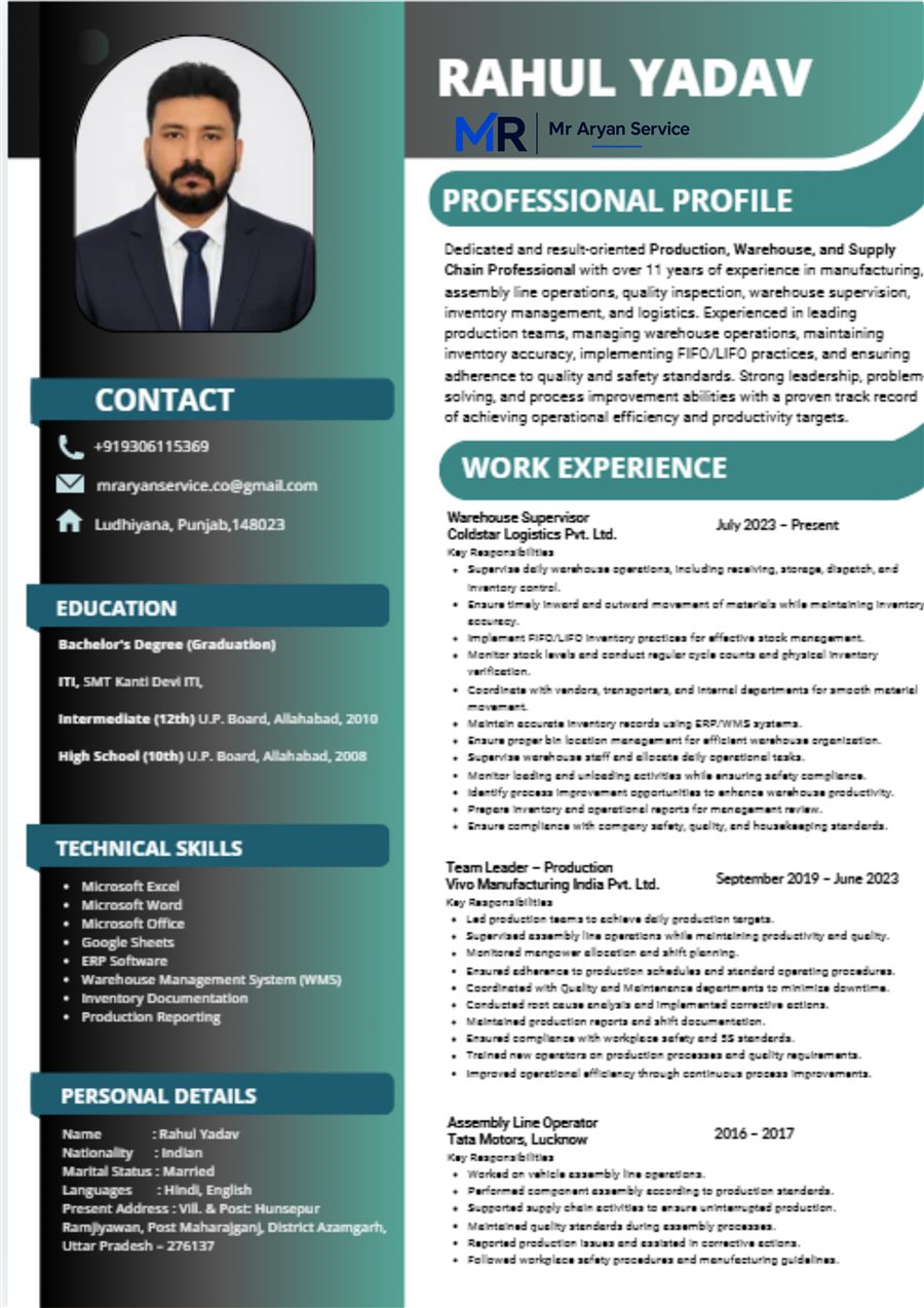 Professional resume sample 2