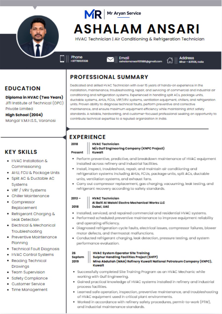 Professional resume sample 3