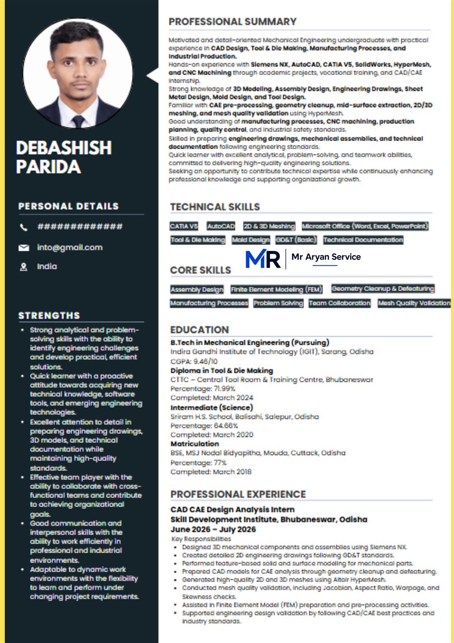 Professional resume sample 5