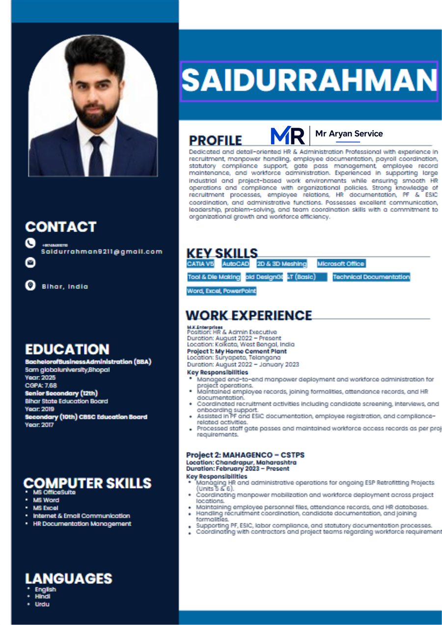 Professional resume sample 7