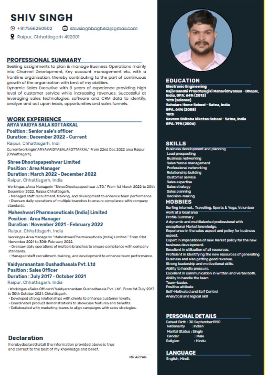 Professional resume sample 8