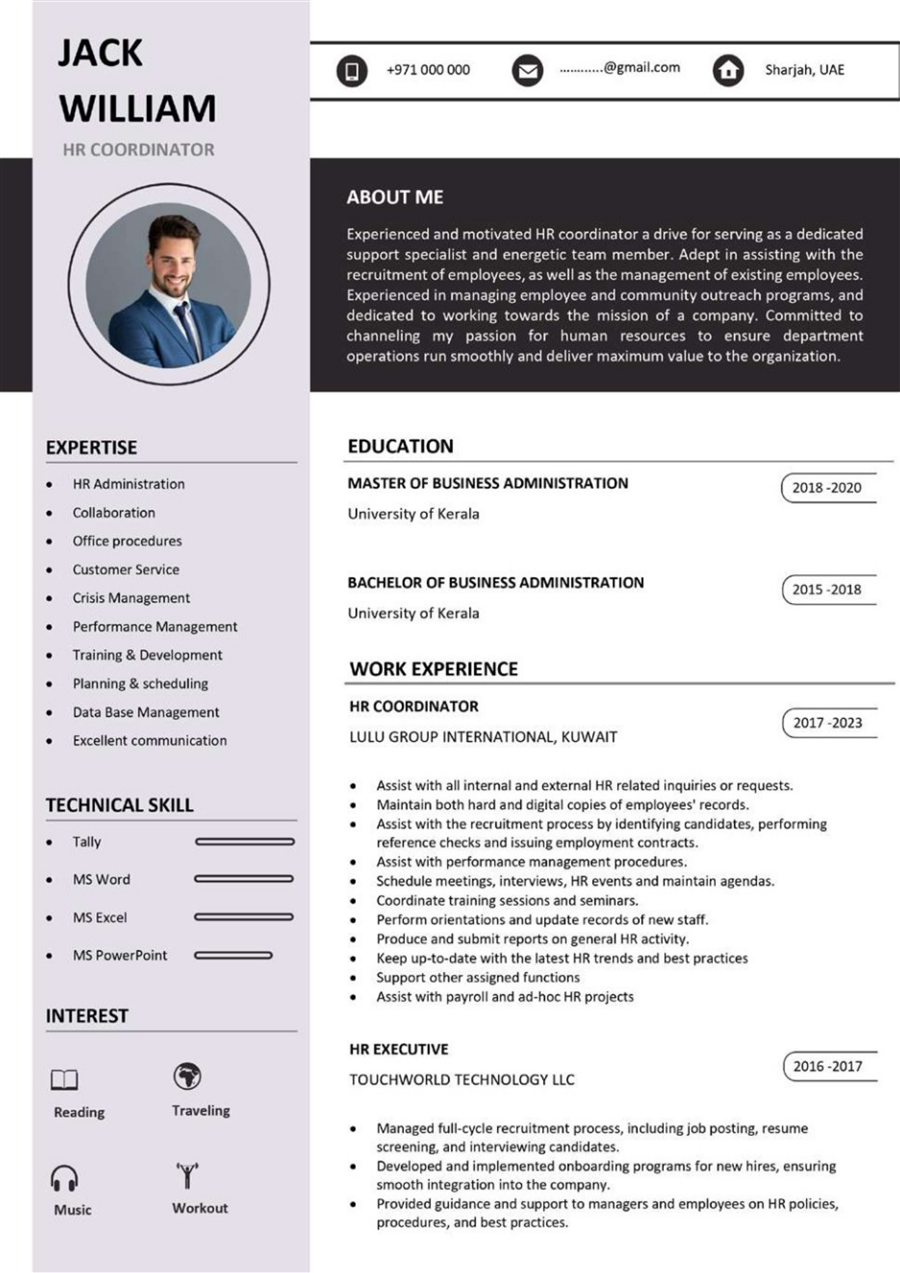Professional resume sample 10