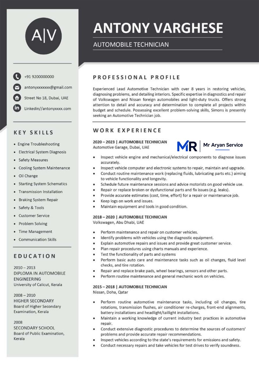 Professional resume sample 12