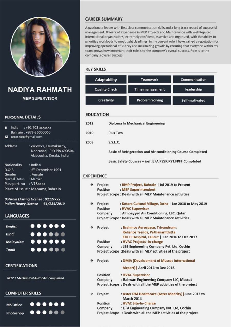 Professional resume sample 17