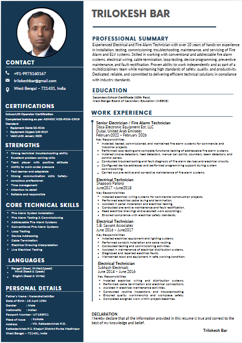 Professional resume sample 21