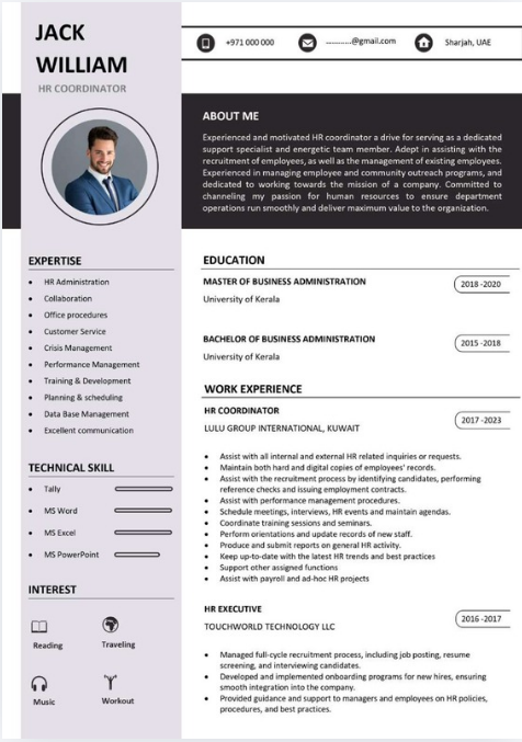 Professional resume sample 22
