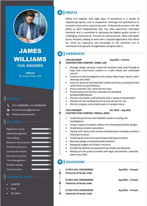 Professional resume sample 23