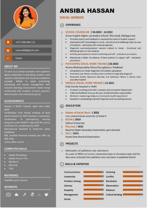 Professional resume sample 24
