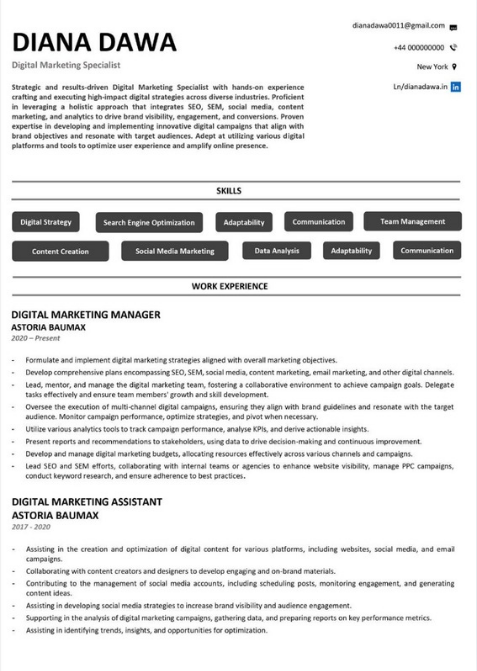Professional resume sample 26