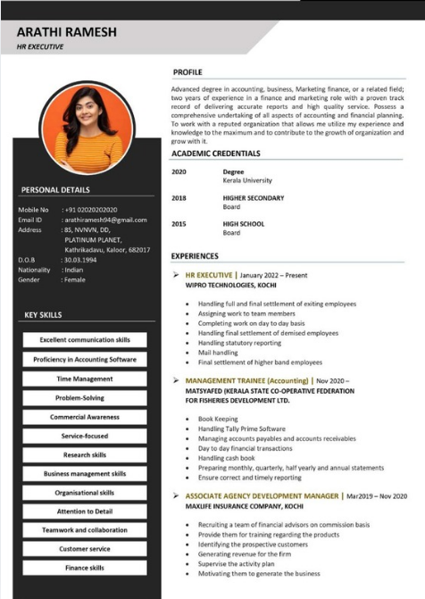 Professional resume sample 27