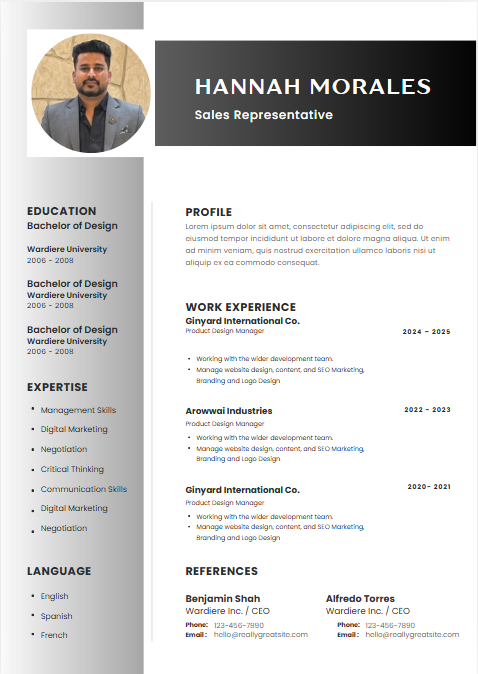 Professional resume sample 29