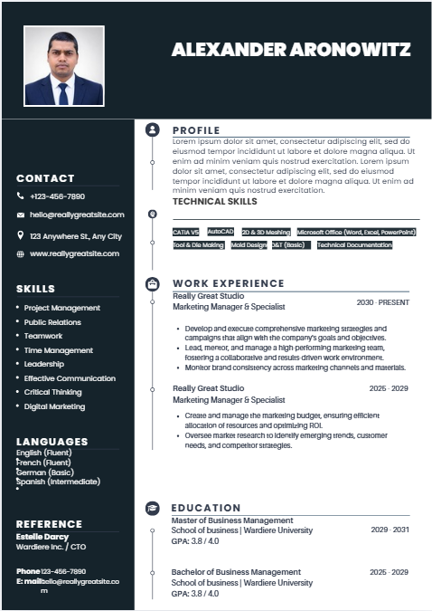 Professional resume sample 32