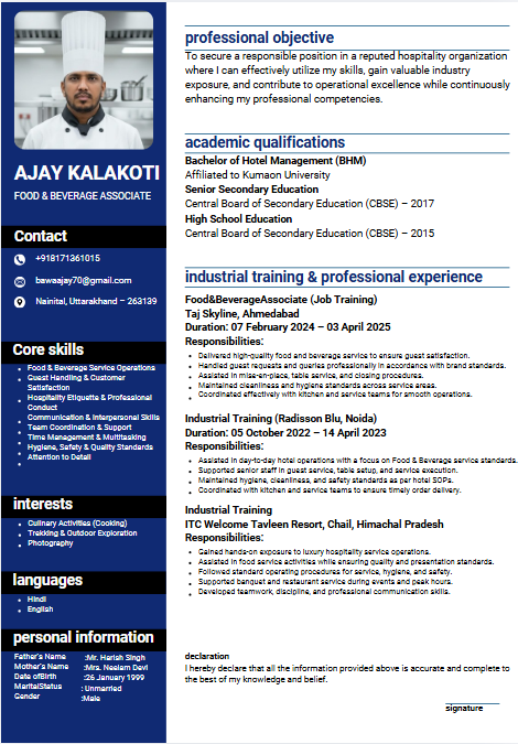 Professional resume sample 33