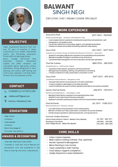 Professional resume sample 34